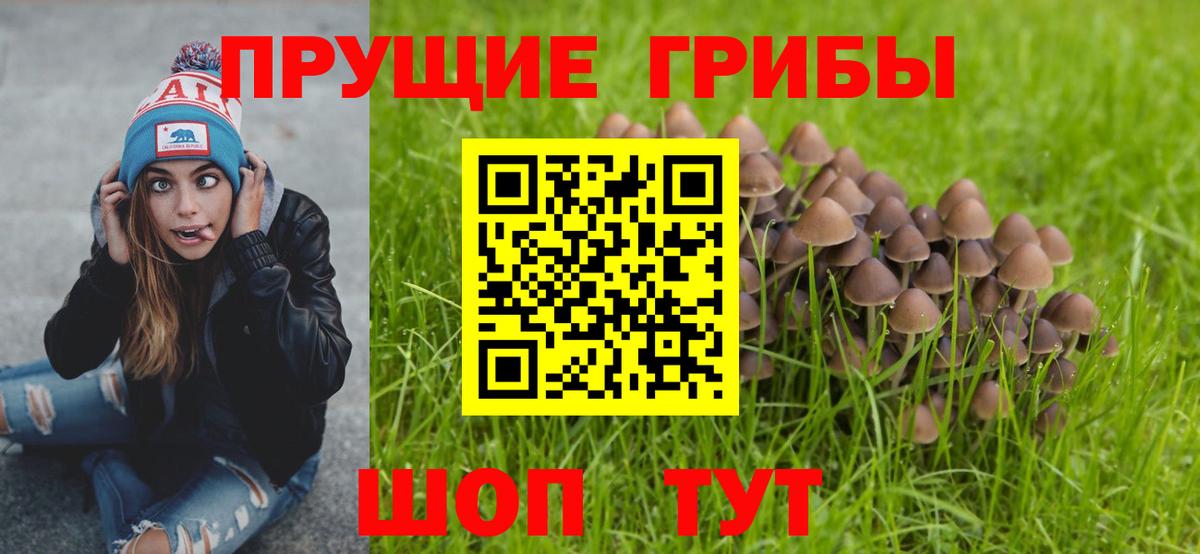 Галлюциногенные грибы MAGIC MUSHROOMS  где купить наркоту  Ангарск  Вход с VPN  Галлюциногенные грибы GOLDEN TEACHER 